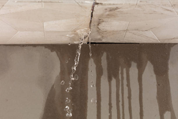 Professional Structural Drying technician working in Cedar Bluff, VA